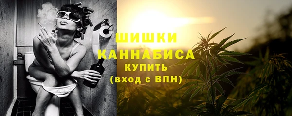 ПСИЛОЦИБИНОВЫЕ ГРИБЫ Козловка