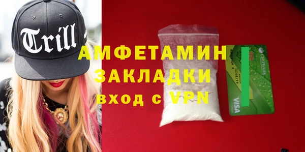шишки Козельск