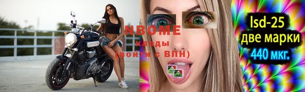 ПСИЛОЦИБИНОВЫЕ ГРИБЫ Козловка