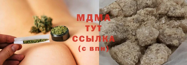 ПСИЛОЦИБИНОВЫЕ ГРИБЫ Козловка