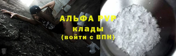 PSILOCYBIN Кодинск