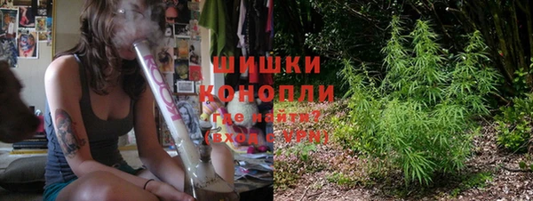 ПСИЛОЦИБИНОВЫЕ ГРИБЫ Козловка