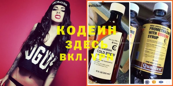 PSILOCYBIN Кодинск