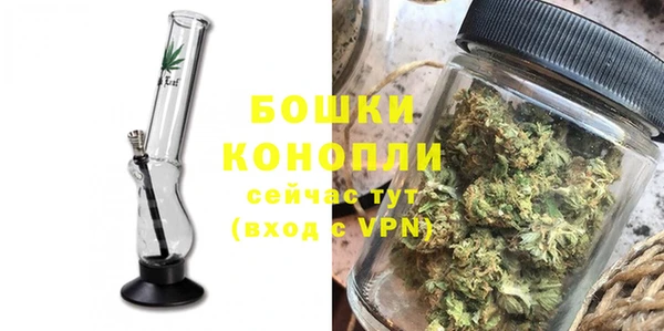 PSILOCYBIN Кодинск