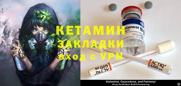шишки Козельск