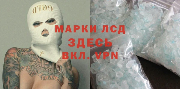 ПСИЛОЦИБИНОВЫЕ ГРИБЫ Козловка